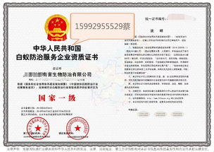 深圳教育咨詢服務(wù) 專(zhuān)業(yè)導(dǎo)航，助力學(xué)子與家庭的教育成長(zhǎng)之路